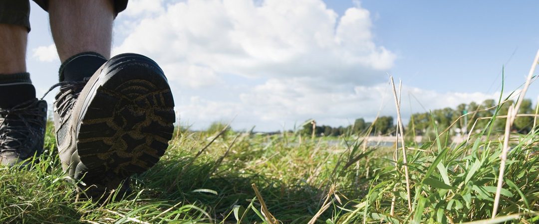 Uitslag Brugge Binnenste Buiten 2016